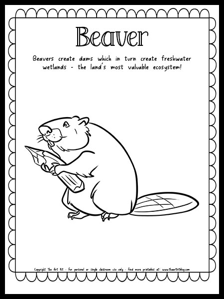 busy beaver coloring pages printable jpg