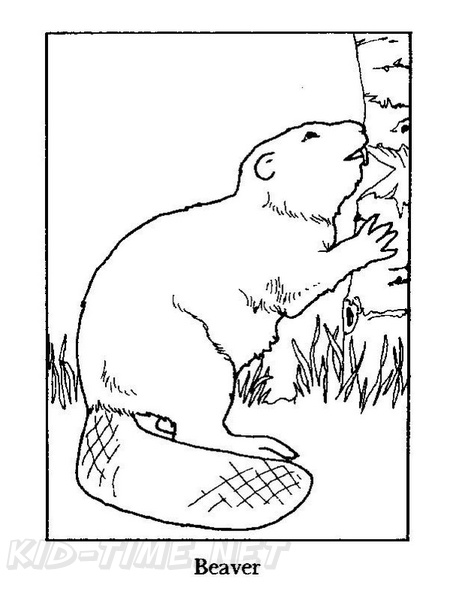 32 Busy Beaver Coloring Pages Printable 35