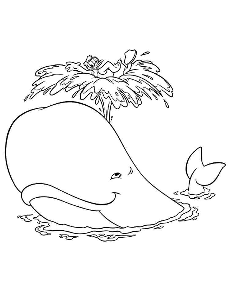 gigantic blue whale coloring pages printable jpg