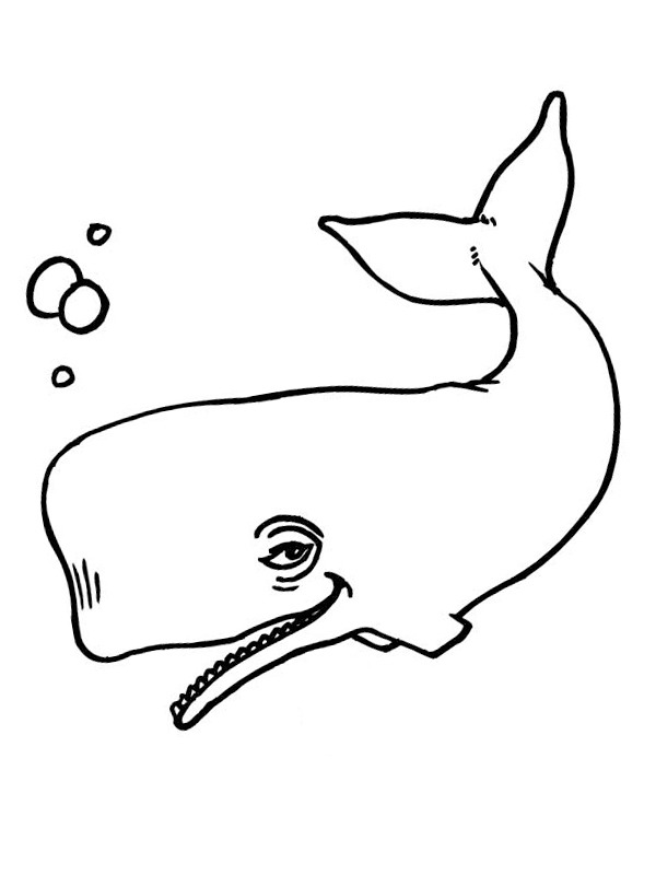 gigantic blue whale coloring pages printable jpg