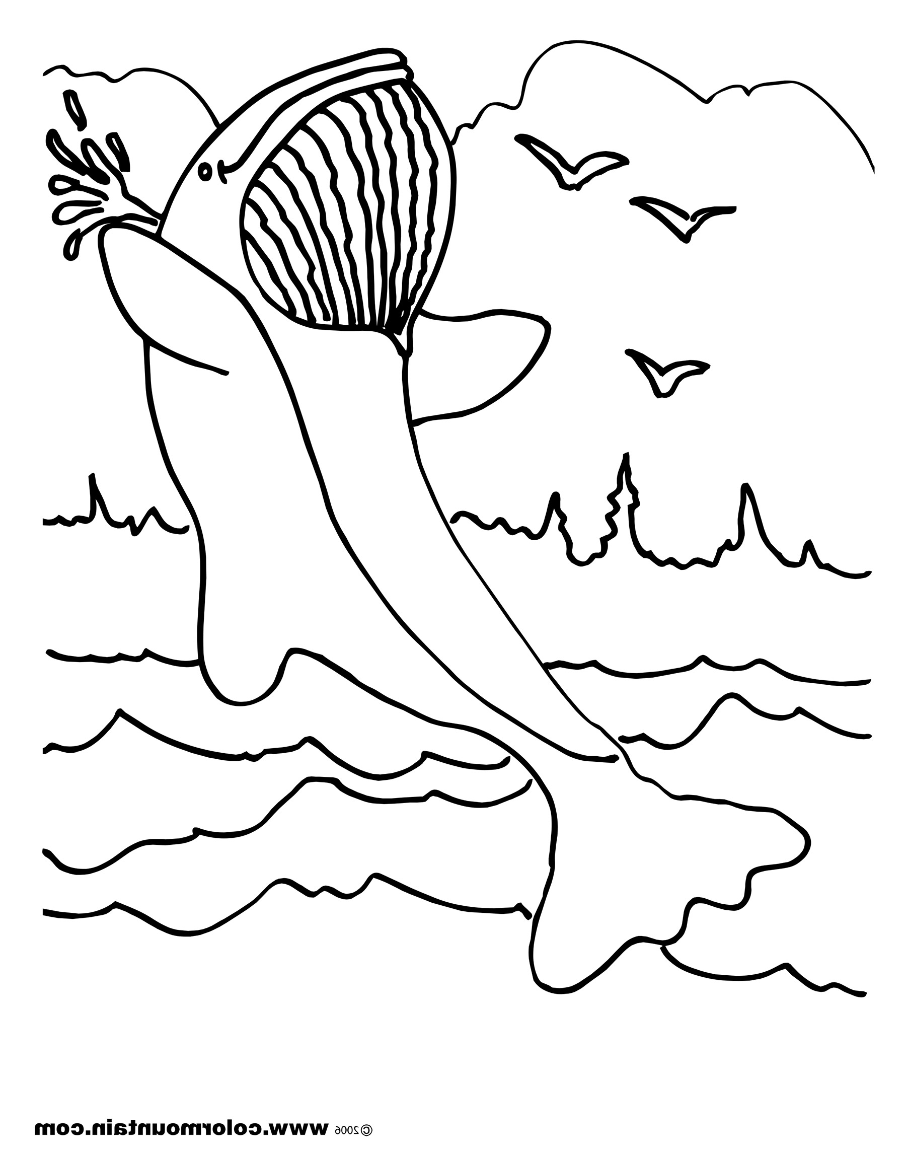 gigantic blue whale coloring pages printable jpg