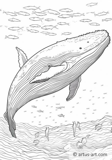 gigantic blue whale coloring pages printable jpg