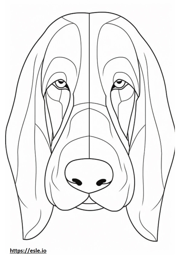 basset hound coloring pages printable jpg