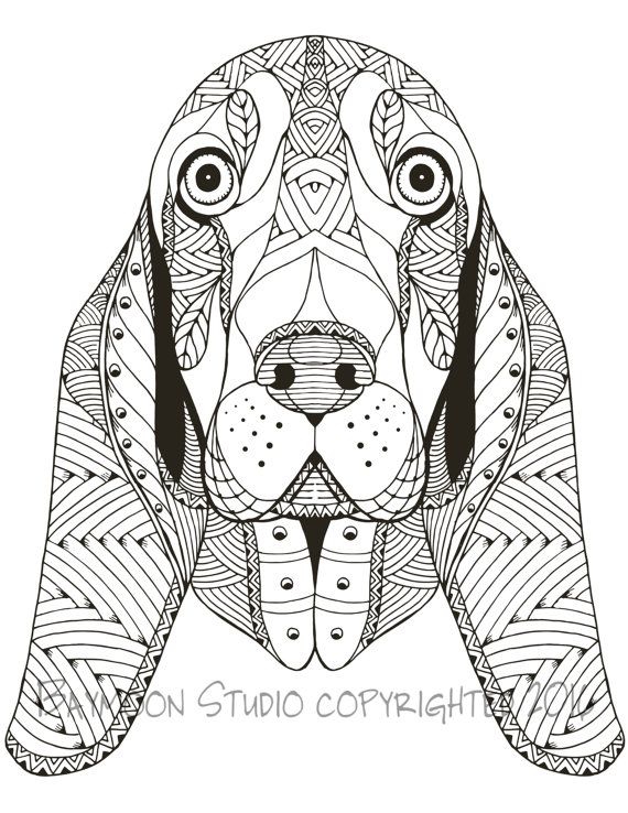 basset hound coloring pages printable jpg