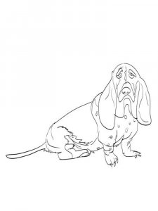 basset hound coloring pages printable jpg