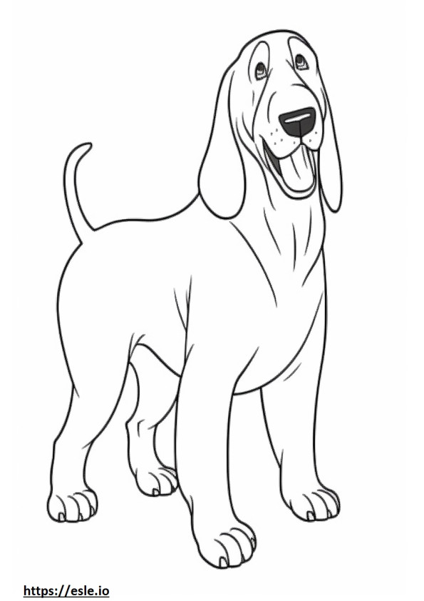 basset hound coloring pages printable jpg