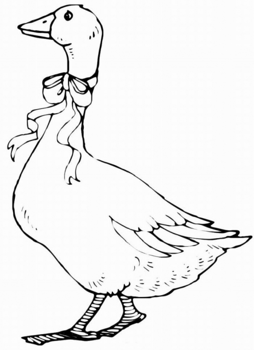 cute goose coloring pages printable jpg