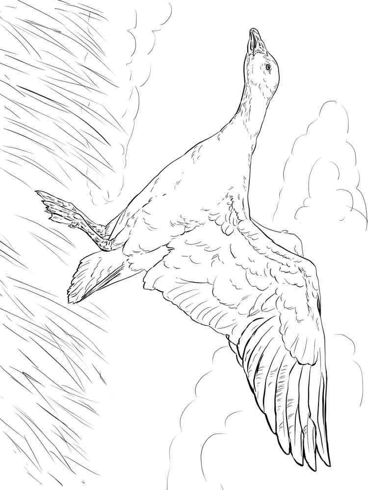 cute goose coloring pages printable jpg