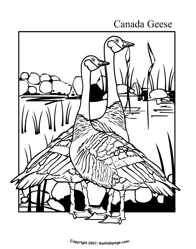 cute goose coloring pages printable jpg