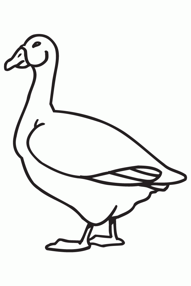 cute goose coloring pages printable jpg