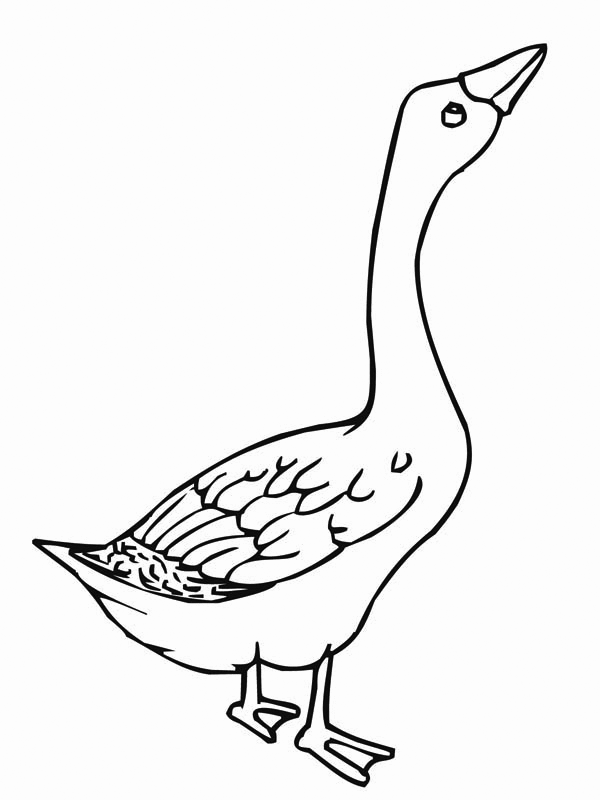 cute goose coloring pages printable jpg