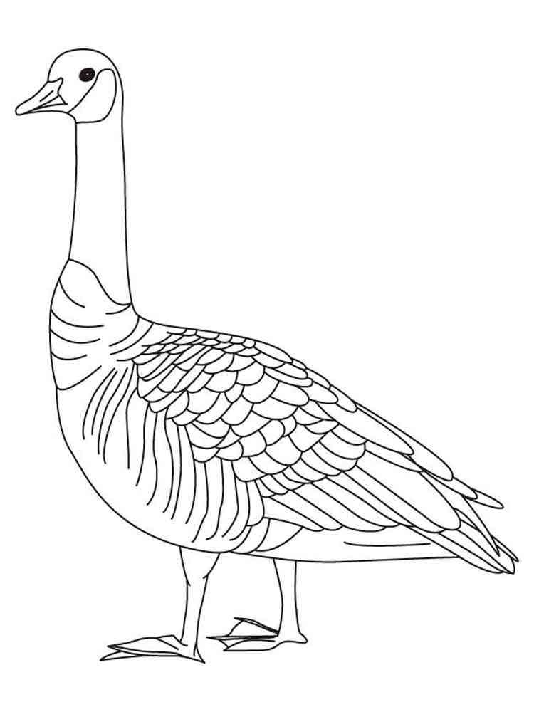cute goose coloring pages printable jpg