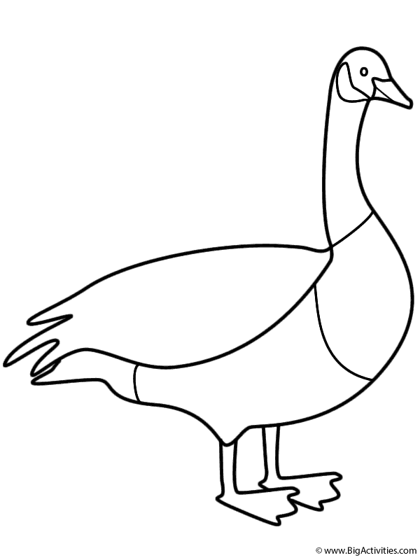 cute goose coloring pages printable jpg