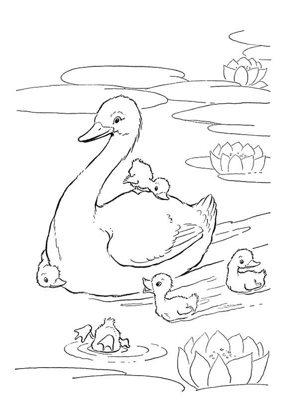 cute goose coloring pages printable jpg