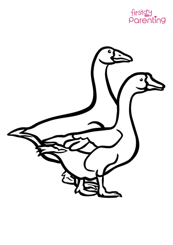 cute goose coloring pages printable jpg