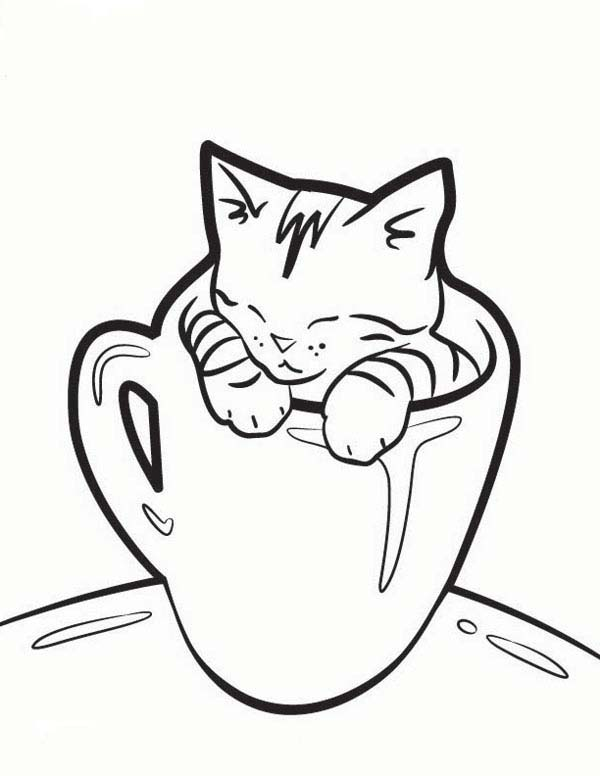 34 Cute Cartoon Cat Coloring Pages Printable 14