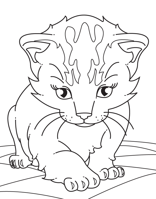 realistic animals coloring book printable jpg