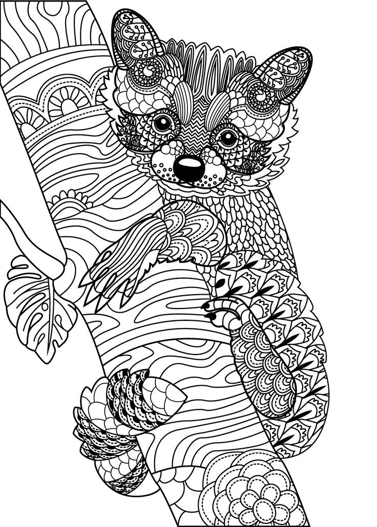 realistic animals coloring book printable jpg