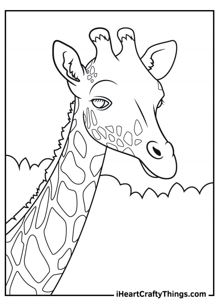 realistic animals coloring book printable jpg