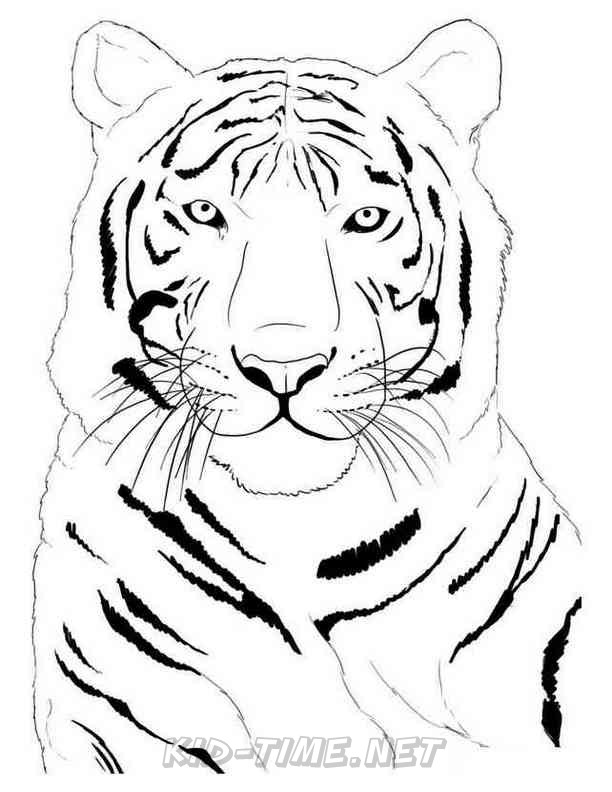 realistic animals coloring book printable jpg