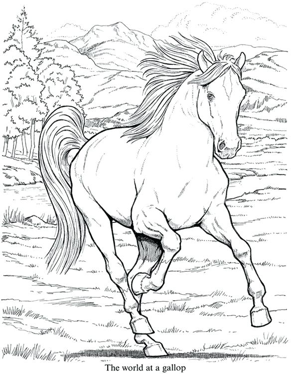 realistic animals coloring book printable jpg