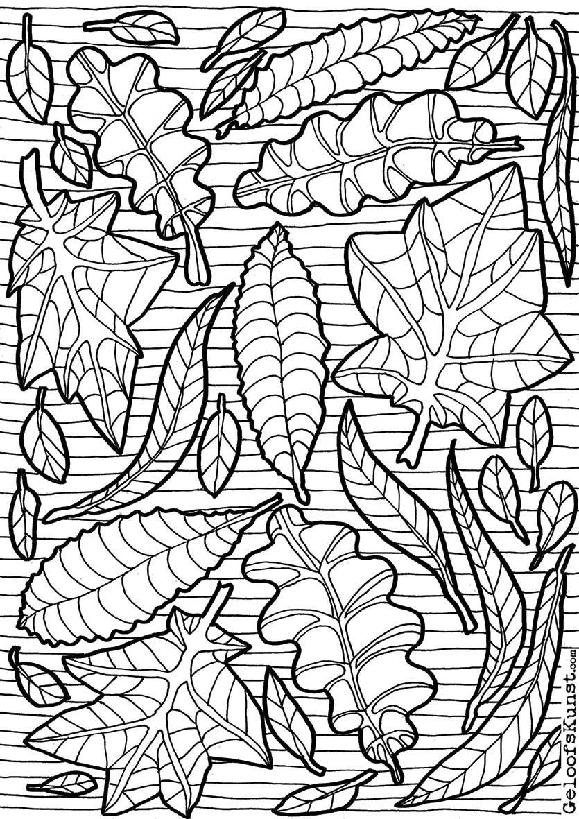 leafy ivy coloring page printable jpg