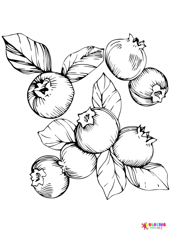 sweet blueberry coloring pages printable jpg
