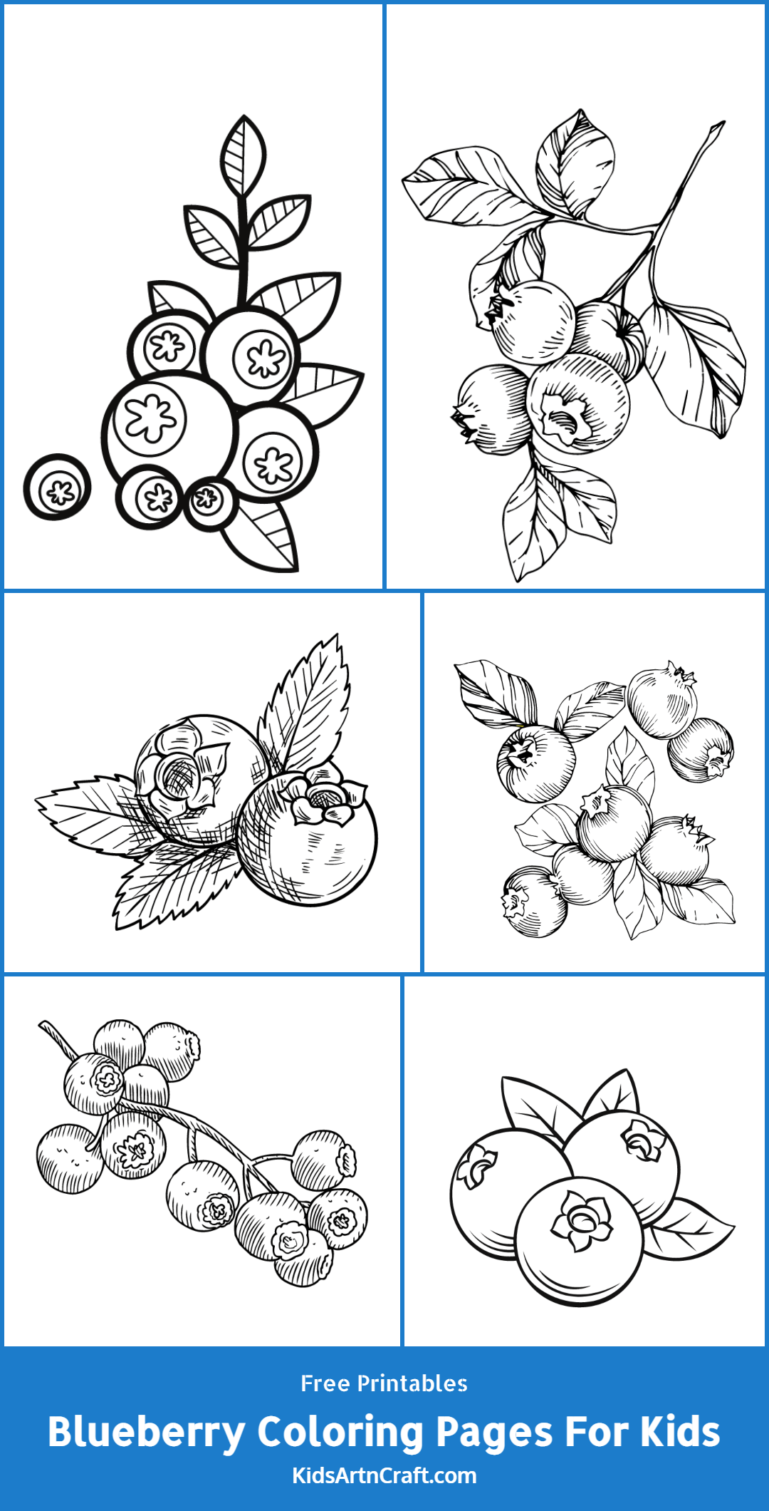 sweet blueberry coloring pages printable jpg