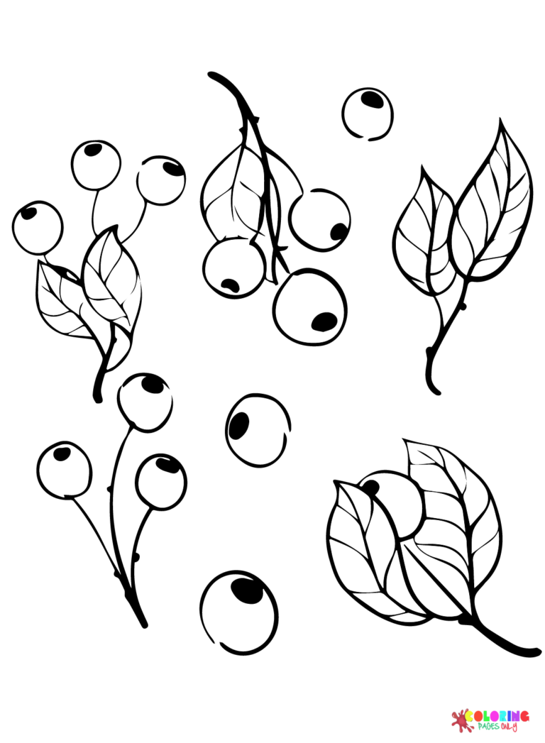 sweet blueberry coloring pages printable jpg