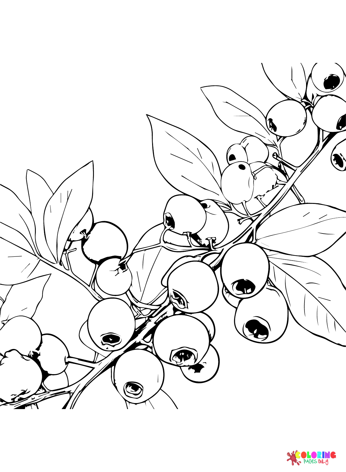 sweet blueberry coloring pages printable jpg