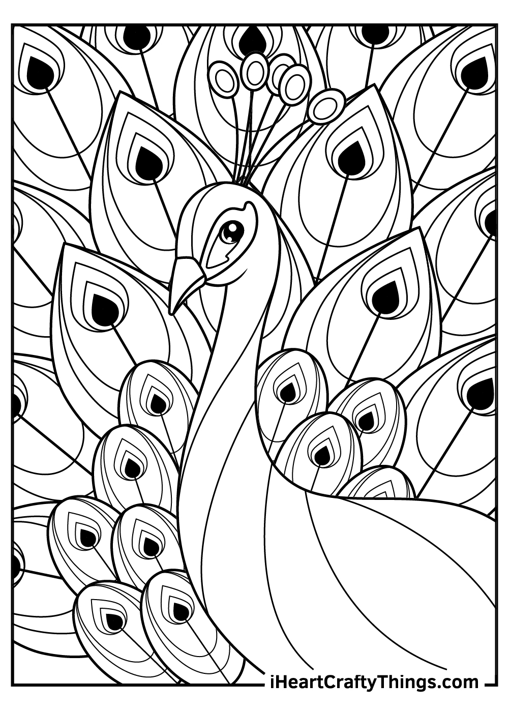 elegant peacock coloring pages printable jpg