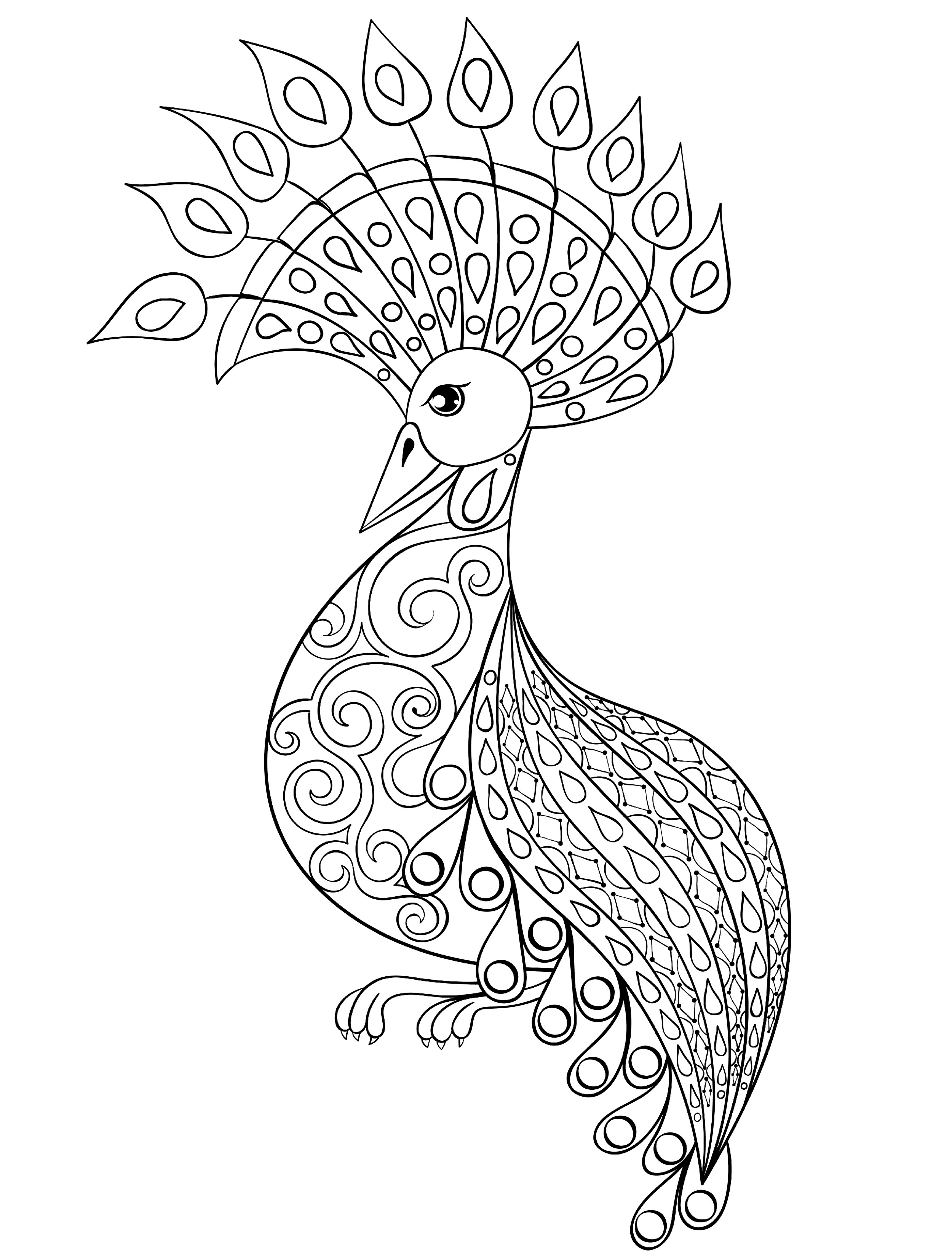 elegant peacock coloring pages printable jpg