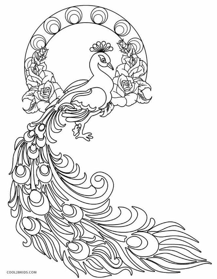 elegant peacock coloring pages printable jpg