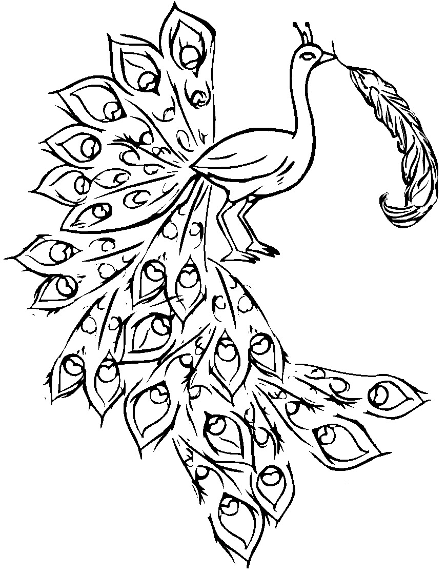 elegant peacock coloring pages printable jpg