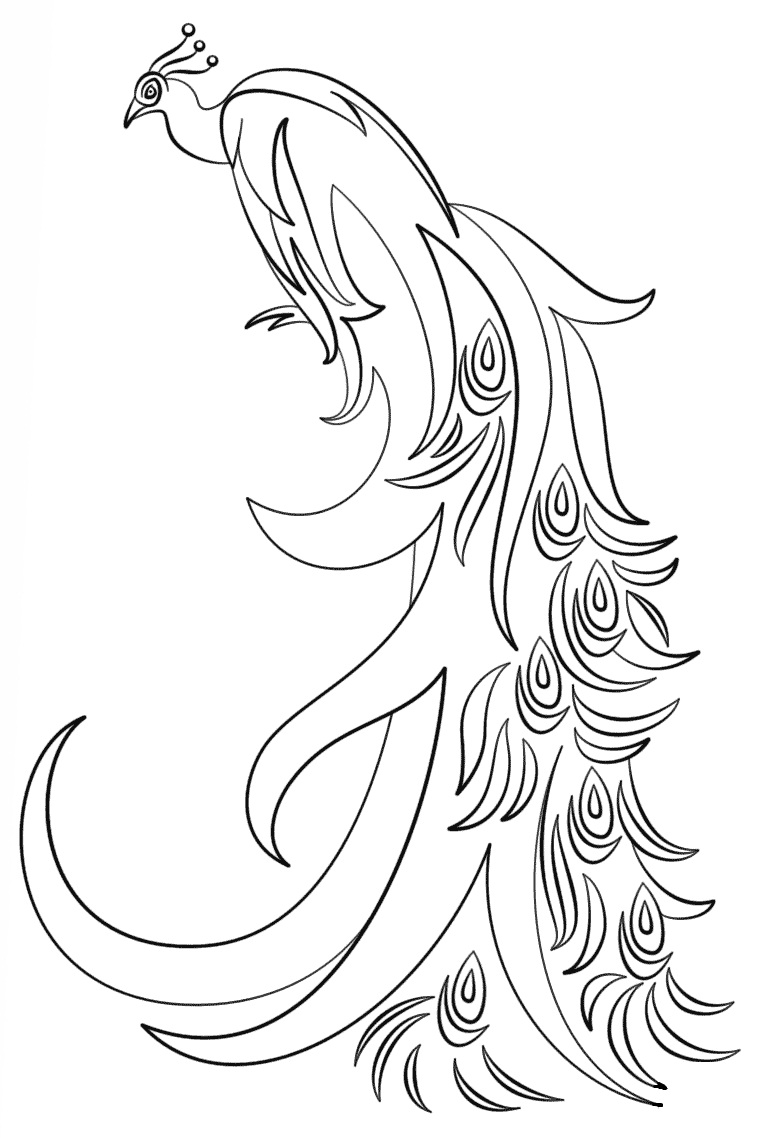 elegant peacock coloring pages printable jpg