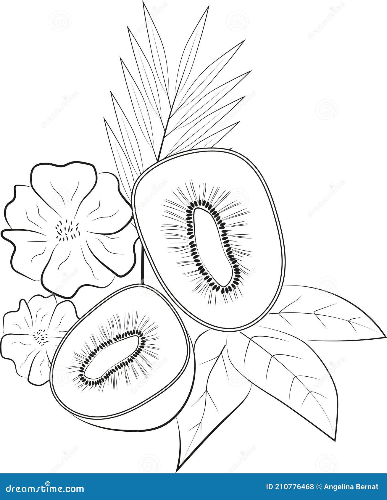 refreshing kiwi coloring pages printable jpg