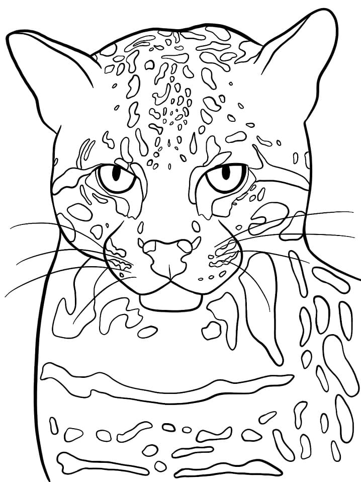 96 Ocelot Coloring Pages Printable 26