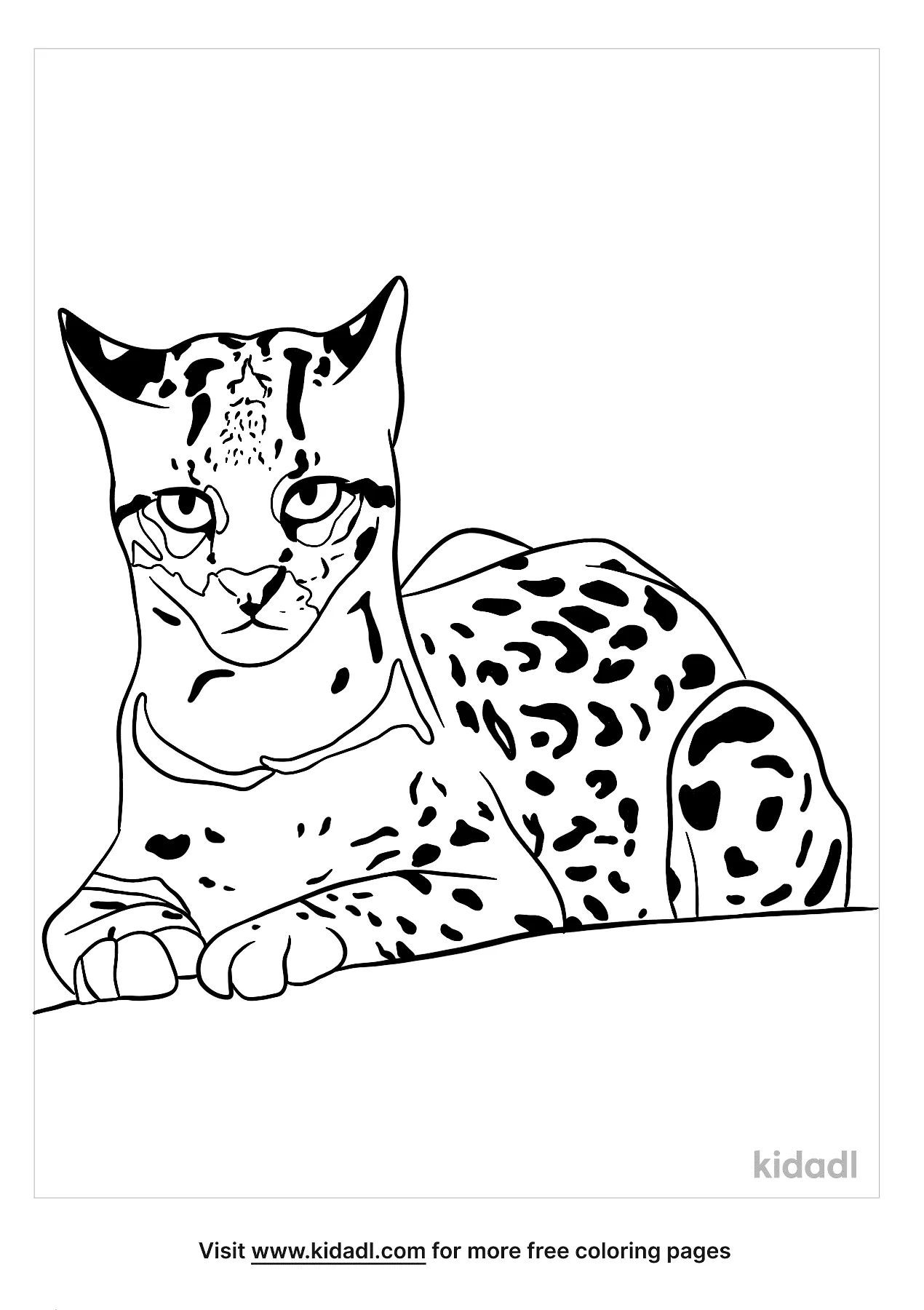 96 Ocelot Coloring Pages Printable 48