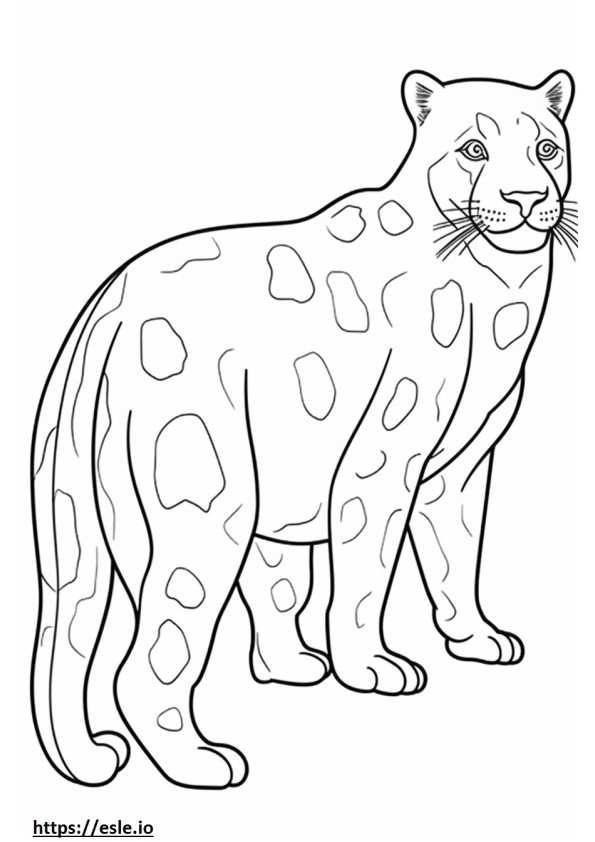 ocelot coloring pages printable jpg