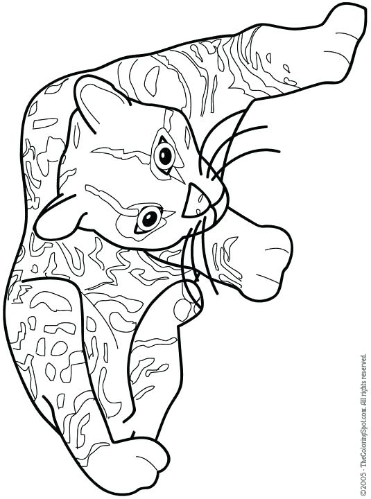 ocelot coloring pages printable jpg