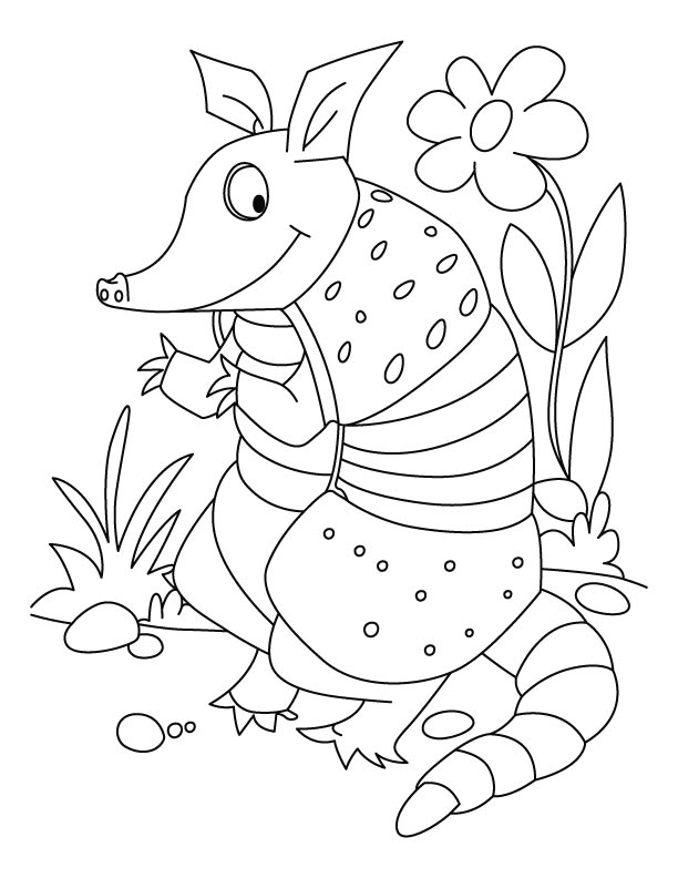 ocelot coloring pages printable jpg