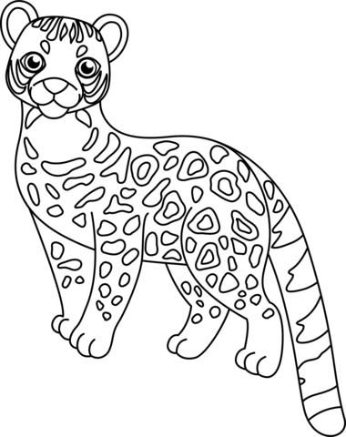 ocelot coloring pages printable jpg