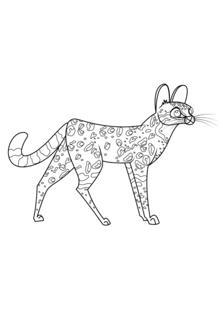 ocelot coloring pages printable jpg