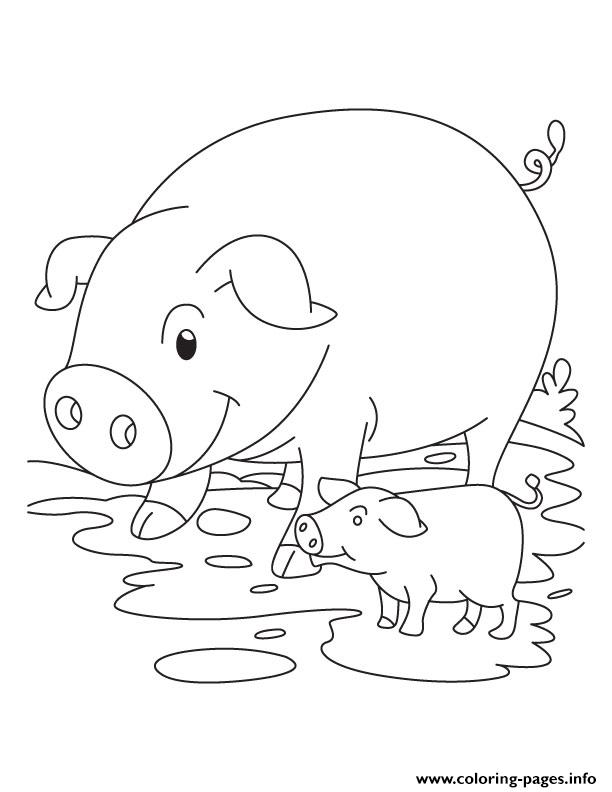 cute pig and piglet see jpg jpg