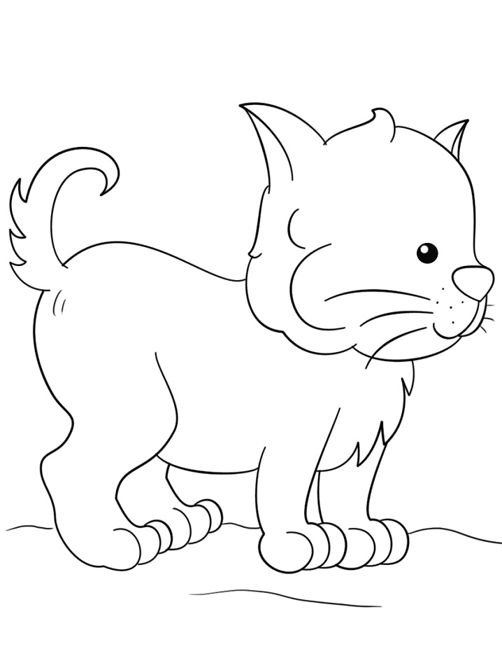 creative kawaii kittens coloring pages printable jpg