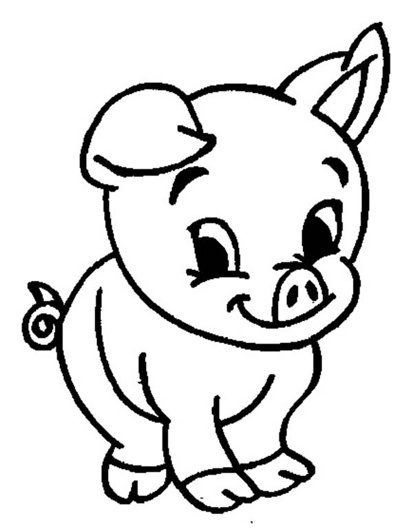 adorable baby pig coloring page jpg jpg