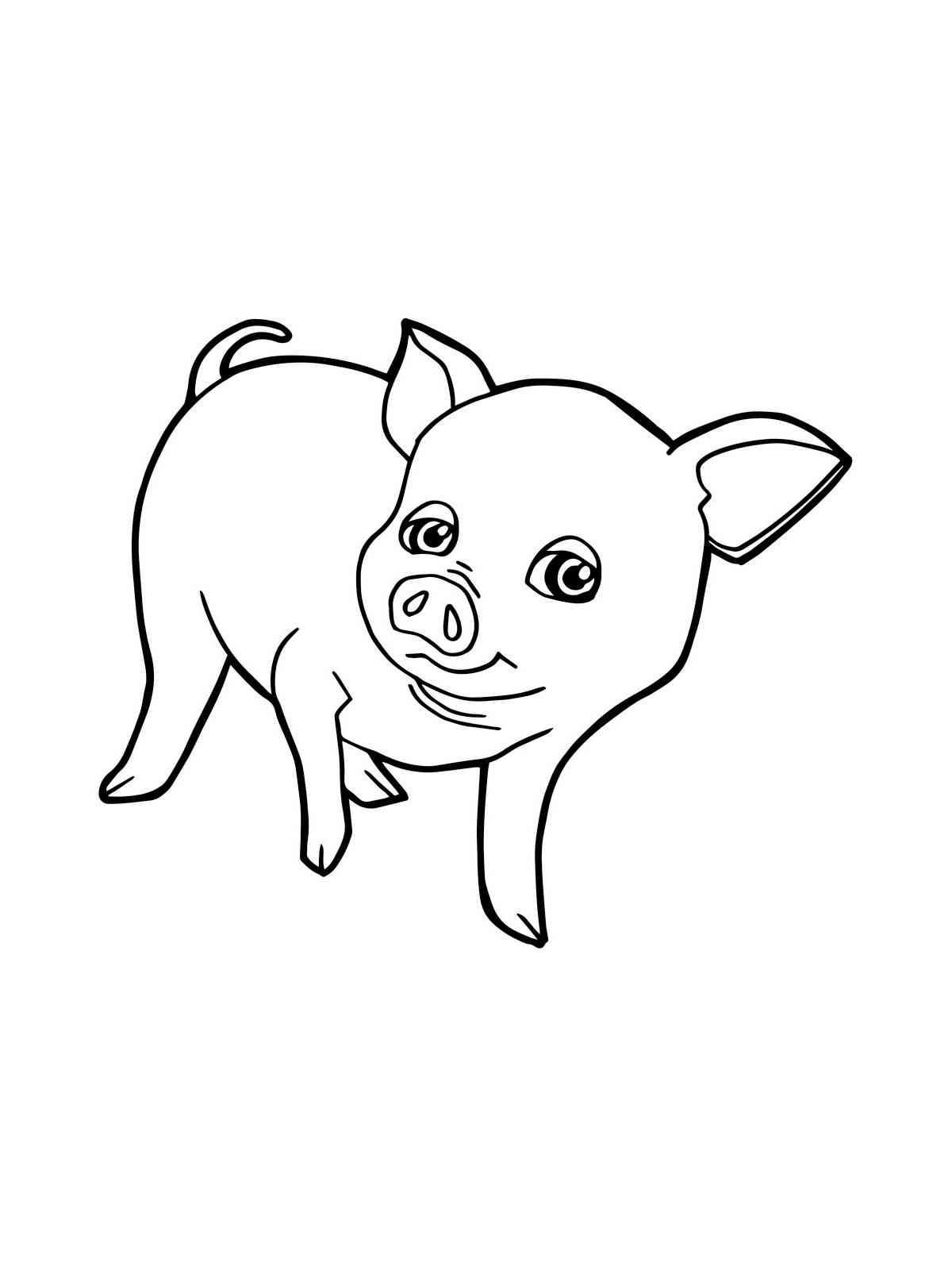 baby pig coloring pages jpg jpg