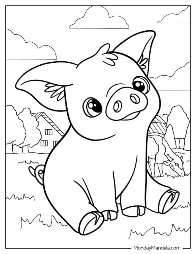 cute baby piglet on a farm x jpg jpg