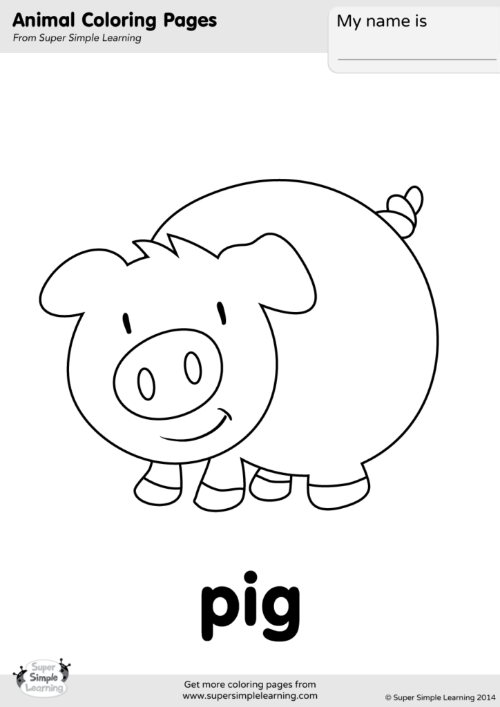 pig coloring page x png jpg