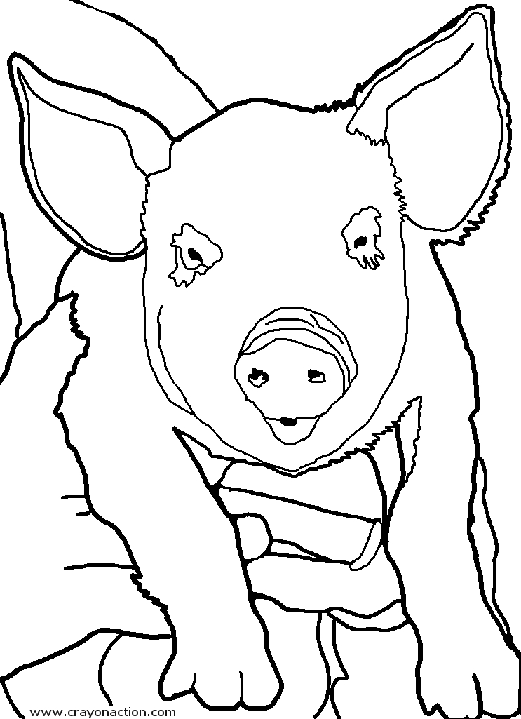 pig face coloring pages jpg jpg